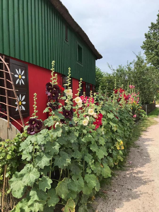 Toepferweg 06 Ferienwohnung Tine Аренсхоп Экстерьер фото